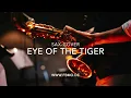 Download Lagu Eye of the Tiger Sax Cover by Wolfgang Knauer