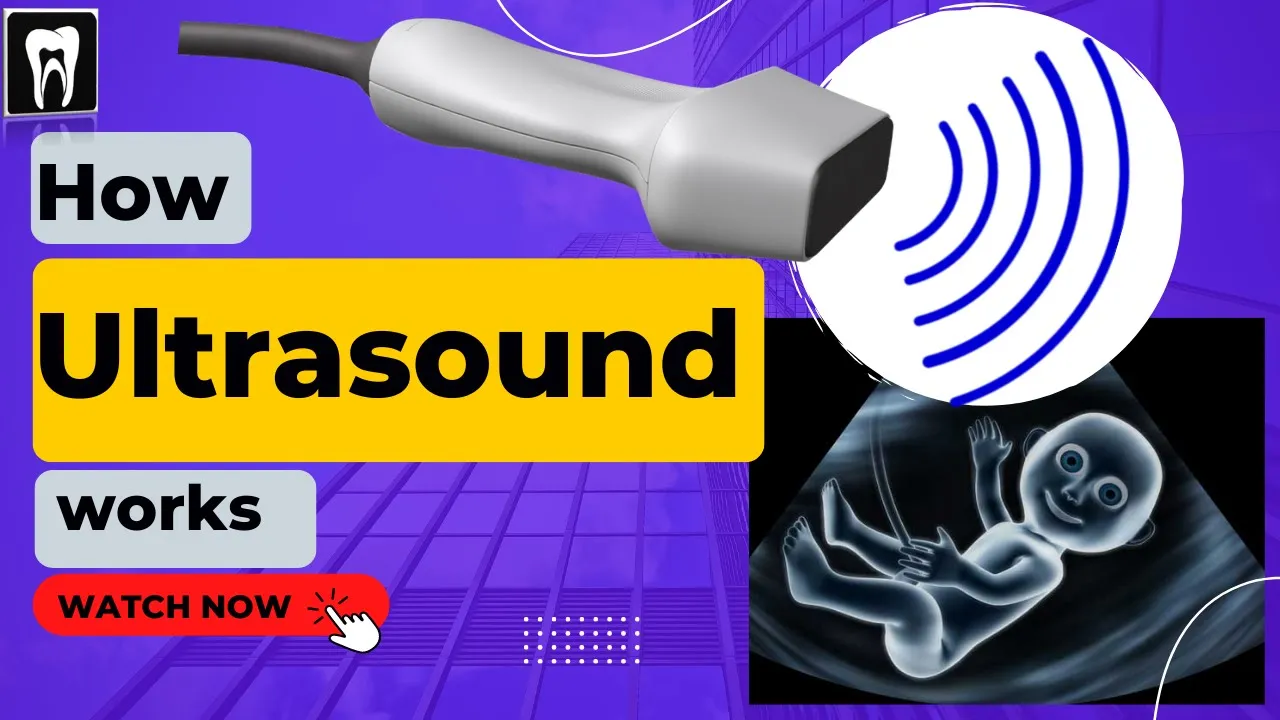 Ultrasound | How Ultrasound Works | Ultrasound Principles | How to see with sound