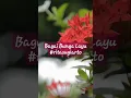 Download Lagu Bagai Bunga Layu Rita Sugiarto