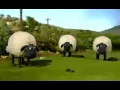 Download Lagu Lagu duda araban versi shaun the sheep