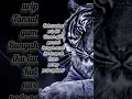 Download Lagu #shorts _PITUTUR EYANG SABDO PALON_#ngaji #pitutur #kaweruh