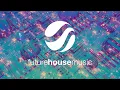 Download Lagu SNBRN - Not The Only One