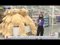 CHAMPAIGN COSTCO OPENS