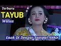 Download Lagu Wilis Tayub Glerrr terbaru yang enak di dengar full bass 