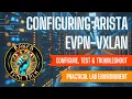 Lagu Arista EVPN-VXLAN \u0026 MLAG Configuration Lab | Step-by-Step Guide