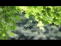 Zash - Sweet Hamony (Tropical House)