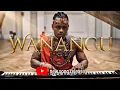 Lagu Diamond Platnumz: Wanangu [inspired video \u0026 audio concept]