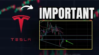 Tom Lee s New Prediction What Does this Mean for Tesla Stock