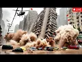 Download Lagu TSUNAMI 2025: China’s Cities Submerged, Airports Lost, Skyscrapers Collapse | Short Film