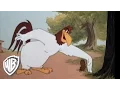 Looney Tunes Look It Here