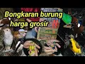Lagu Harga grosir murah meriah ‼️berbagi macam burung review burung Ombyokan 