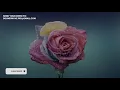 [Melodic House] Falden - Moments