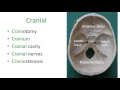 Medical terms 10 Neurology