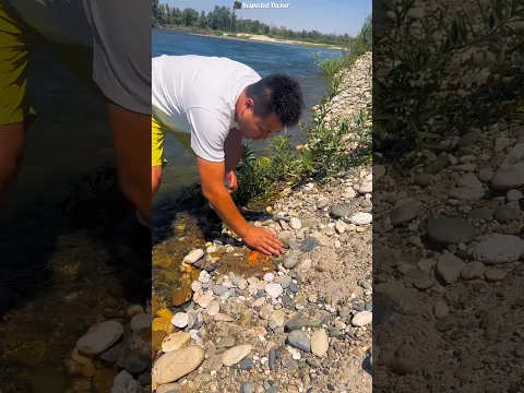 He Found Gold Inside This Rock 😱🪨💰 #shortsvideo