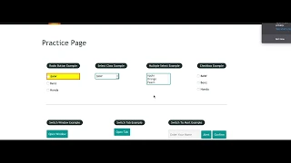 Highlight the Elements using Selenium