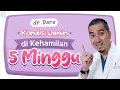 Download Lagu Perkembangan Janin saat Hamil 1-5 Minggu