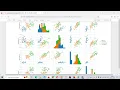 Mastering Iris Flowers Classification with Machine Learning