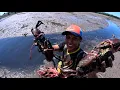 Download Lagu Amazing Coastal Fisherman Catches Lots of Large Mud Crabs