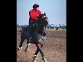 Download Lagu ulok#kok boru#buzkashi#kokpar