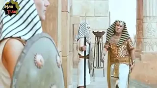 የነብዩላህ ዩሱፍ ዓ ሰ ታሪክ ክፍል 14  የነብዩላህ ዩሱፍ ዓ ሰ ታሪክ ክፍል 14