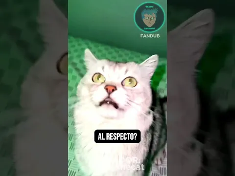 Deksy el gato que ladra lo vio primero? #doblaje #gatos