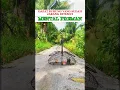 Download Lagu Pancingan Suara Burung prenjak gacor #burung #kicauburunglovebird #kicaumania #lovebirdkicau #kicaum
