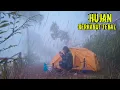 Download Lagu Camping hujan berkabut tebal di pagi hari