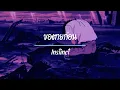 ขอตายก่อน - Instinct ( เนื้อเพลง )
