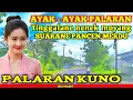 Lagu AYAK-AYAK PALARAN KUNO || TINGGALANE NENEK MOYANG || SUWARANE PANCEN MERDU || PALARAN KUNO LAWAS
