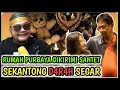 Lagu ISTRI PURBAYA DIKIRIMI SANTET ☄️. SEKANTONG D4R4H SEGAR 🩸. MAFIA MULAI BERANG ???