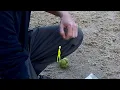I Didn t Think This Silly Lure Would Actually Work