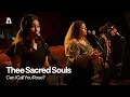 Download Lagu Thee Sacred Souls - Can I Call You Rose? | Audiotree Live