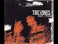 Download Lagu The Vines - Get Free