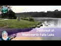 Daybreak Walk at Wentworth Falls Lake with Sculptures Birds and Soft Morning Light
