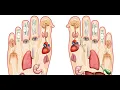 Sesamoidectomy CPT code - simplify medical coding