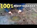 Download Lagu Kehidupan Monster Purba Kalimantan Dilubang Lubang Misterius Berukuran Raksasa