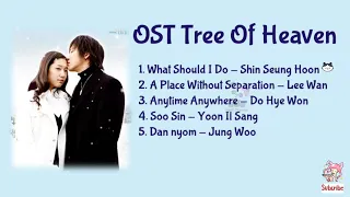 ost tree of heaven