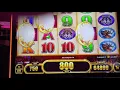 A pitiful Buffalo Gold Bonus Twin Pine Casino - Middletown Ca