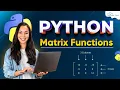 NumPy Matrix Functions in Python Complete Tutorial