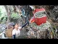 Download Lagu A Lot of Money in Styrofoam Boxes Was Stuck After the Flood - Poor Girl Collecting Scrap Download Lagu A Lot of Money in Styrofoam Boxes Was Stuck After the Flood - Poor Girl Collecting Scrap