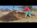 Download Lagu Short. Weekend on the farm