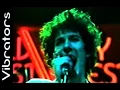 VIBRATORS - WARZONE