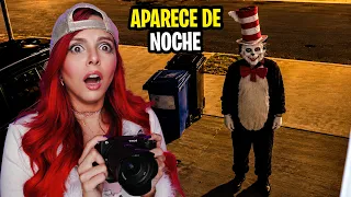 Encontré al ATERRADOR GATO con SOMBRERO en la calle!😰💀 *quedó captado en cámara*