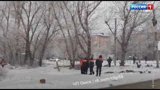 В Омске зимой косят траву?