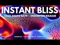 Endorphin Rush 12 Hz Instant Mood Uplift Meditation for Natural Happiness