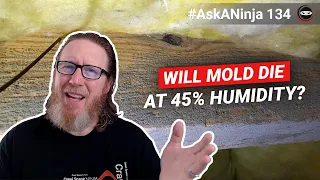 Will Mold Die at 45 Relative Humidity