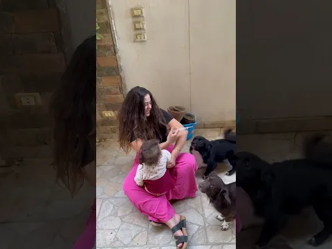 الكلب الرخم