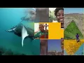 Faces of Africa - Even The Gangsters Pt.2