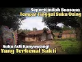 Download Lagu Inilah Awal Mula Kenapa Banyuwangi di sebut Kota S4ntet, Mengunjungi Desa adat Osing kemiren yg Asri