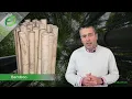 Growrite Bamboo Stakes Flower Sticks